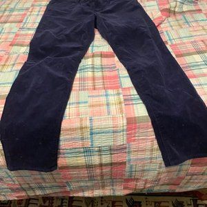 Edyson Navy blue corduroy pants with spandex. Full length, skinny cut. Size 33.